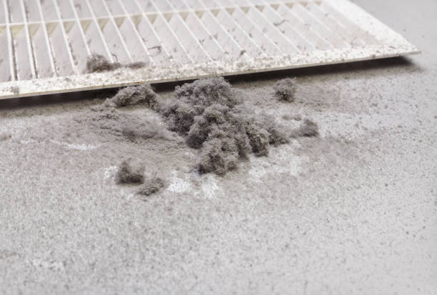 Best Air Duct Cleaning Company Near Me  in Resaca, GA