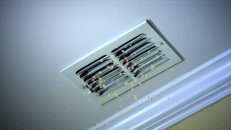 Best HVAC Duct Inspection Services  in Resaca, GA
